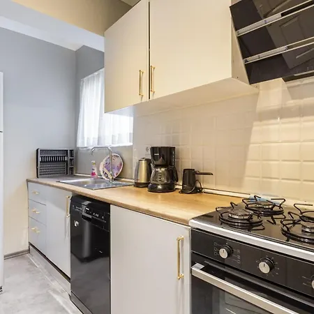 公寓 Outstanding Flat With Stylish Interior And Excellent Location Close To Shopping Malls In Sisli *